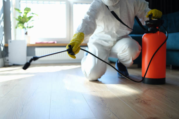 Reliable Odor Removal contractor in Bailey, MI by Trauma Clean Pros