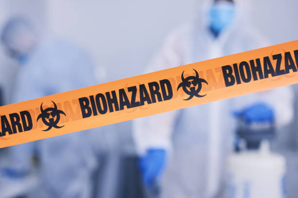 Professional Odor Removal technician working in Bailey, MI